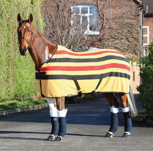 Shires Fleecetäcke golden stripe mönster
