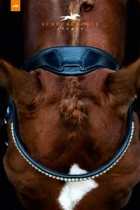 Schockemöhle Venice kandar