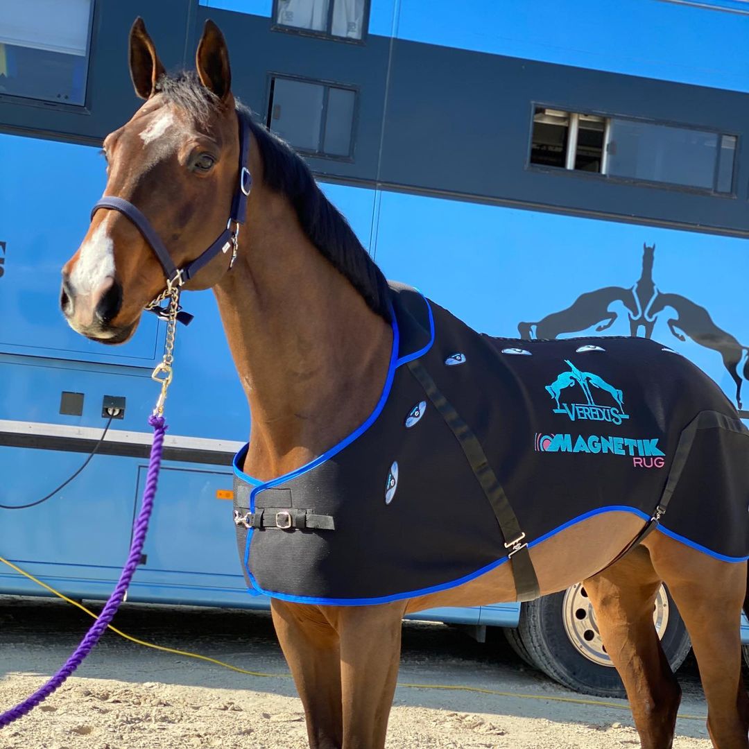 Veredus Magnettäcke