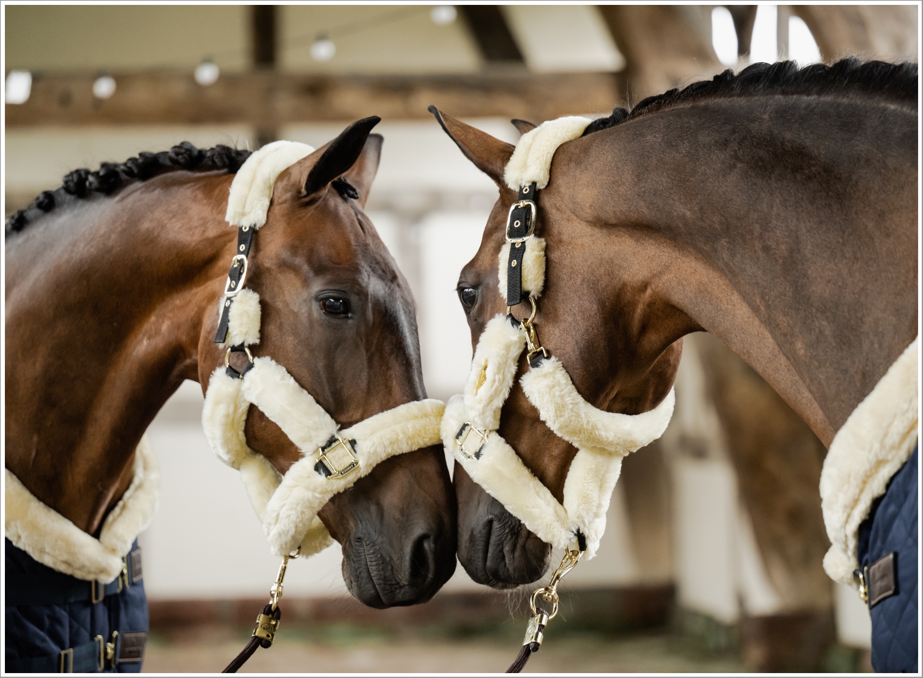 Nyheter och uppdateringar