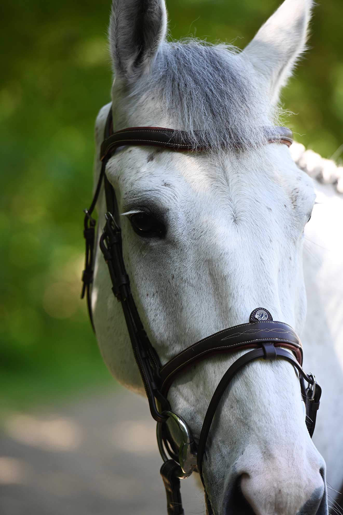 Natasha mashinada sikimni soradi Sevkaning xotini