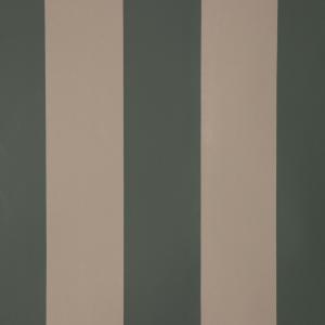 Stripe forward green
