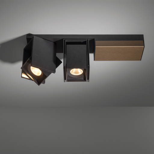 Modular Rektor 2x LED 2700K medium 1-10V/pushdim GI black struc - black struc