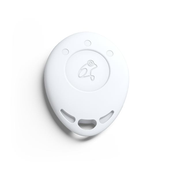 Frogblue frogKey Bluetooth Tagg
