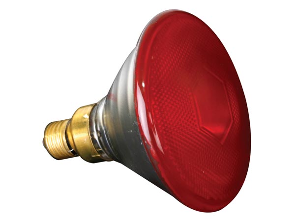 Halogenlampa 80W / 240V, Röd