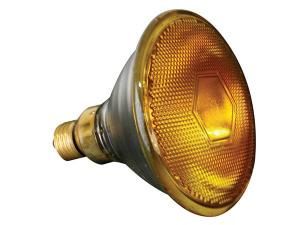 Halogenlampa 80W / 240V. Gul