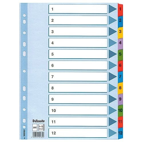 Pärmregister Esselte Mylar 1-12 A4