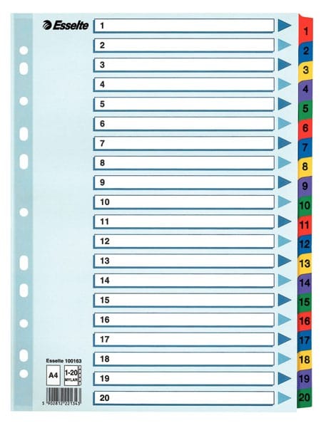 Pärmregister Esselte Mylar 1-20 A4