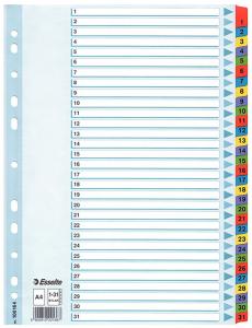 Pärmregister Esselte Mylar 1-31 A4