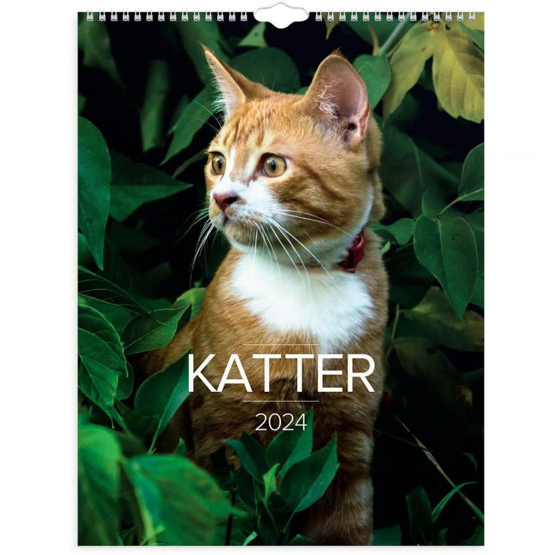 Väggkalender Burde 1775 Katter 2024