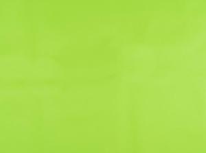 KONSTLÄDER, Amalfi 010427 Parakeet