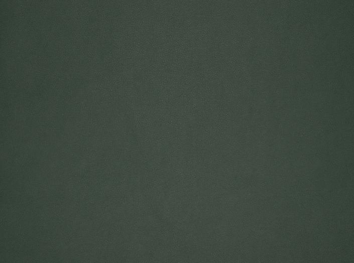 Imola PLUS Bonded Leather Green