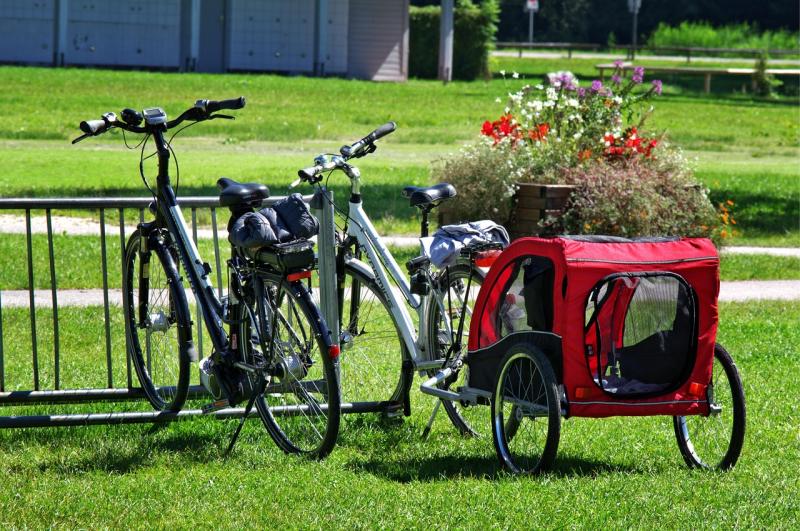 Fönster till Cykelvagn