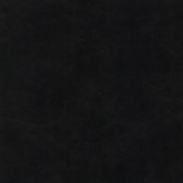 DOMINO 991, KONSTLÄDER