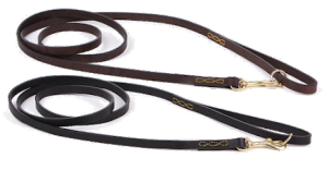 Hundkoppel Eaton 180cm