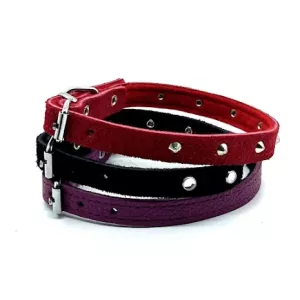 Småhundshalsband i flera färger och storlekar