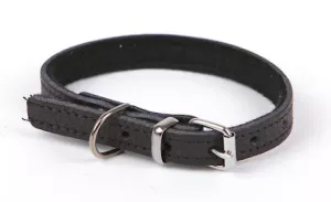 Småhundshalsband i flera färger och storlekar