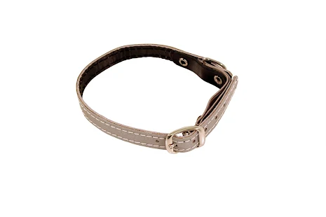 Katthalsband i Läder med Silver 3M-Reflex