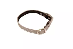 Katthalsband i Läder med Silver 3M-Reflex