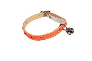 Katthalsband i orange reflex med nitar.