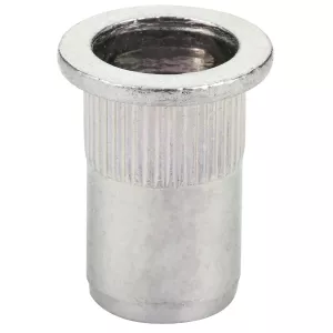 Blindnitmutter Stål M10 10St