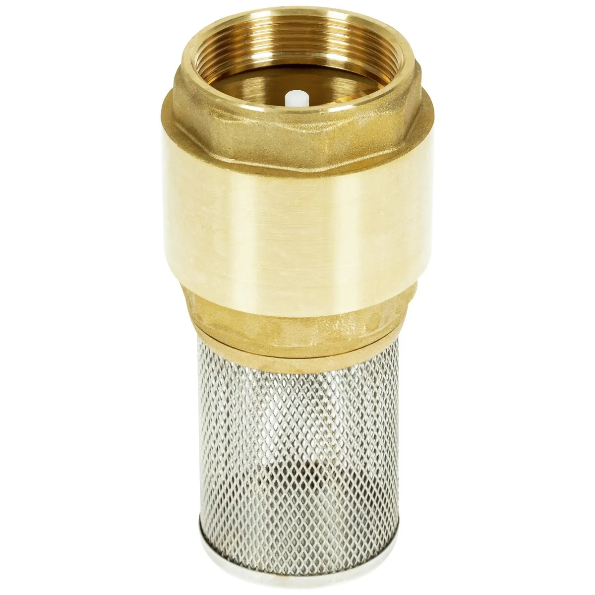 Bottenventil 2" Rst Sugsil