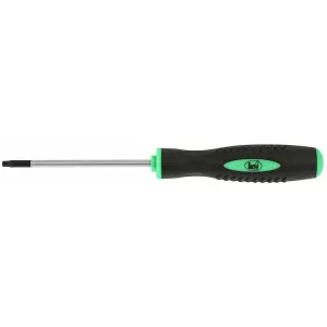 Skruvmejsel T15X80Mm