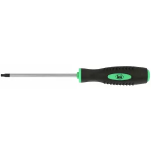 Skruvmejsel T27X125Mm