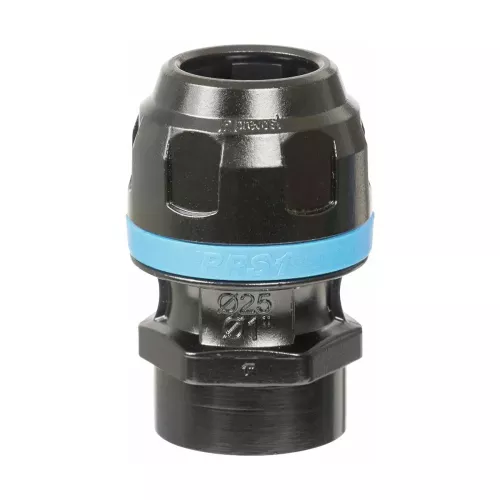 Standardkoppling 25Mm-1 Bsp Inv Pps1