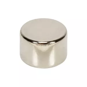 Magnet