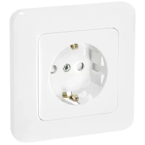 Vägguttag 1-V Petskyddad Jordat Infällt