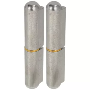 Svetsgångjärn 100Mm 2 St