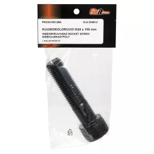 Insexskruv M24X100 12.9 1St Din912