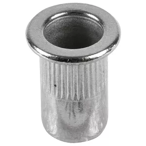 Blindnitmutter Rostfritt Stål M10 10St