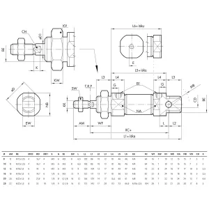Pneumatisk Cylinder 20X25 Mini Iso6432 2-Funk
