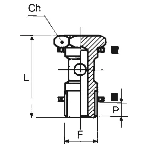Banjobult 3/8 Mässing Med Packning D7