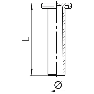 Instickskoppling Plugg 6Mm R9 Teknopolymer