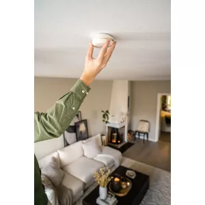 Brandvarnare Pebble Link 2 St 10 År