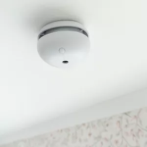 Brandvarnare Pebble Mini 5 År