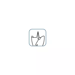 Träborr 6X107Mm Hss Profi Holz 1/4"