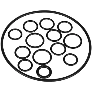 O-Ringar
