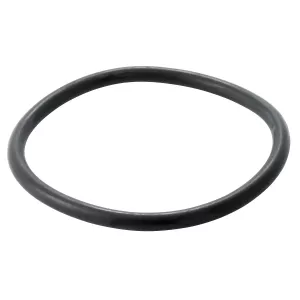 O-Ring Mf 195522M1