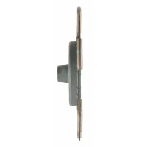 Drivlamell 302Mm C-6 10Z