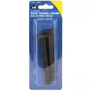 Bult M12X100 10.9 2St Din931