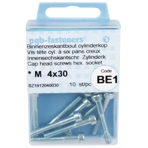 Insexskruv M4X30 8.8 10St Din912