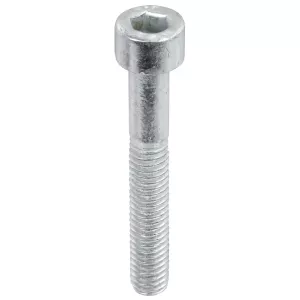 Insexskruv M6X40 8.8 10St Din912