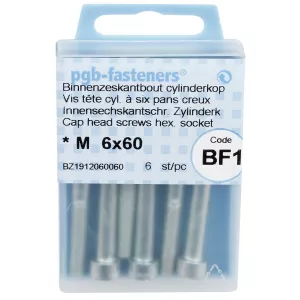 Insexskruv M6X60 8.8 6St Din912