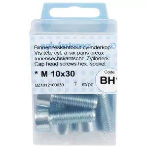 Insexskruv M10X30 8.8 7St Din912