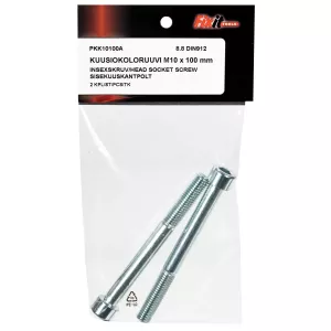 Insexskruv M10X100 8.8 2St Din912