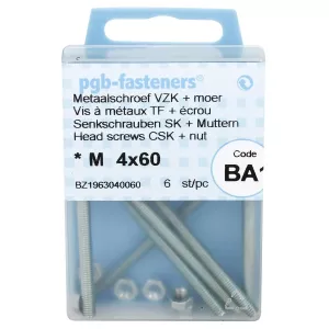 Försänkt Huvud Skruv M4X60 6St Din965